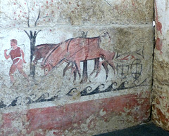Paestum - Museo Archeologico