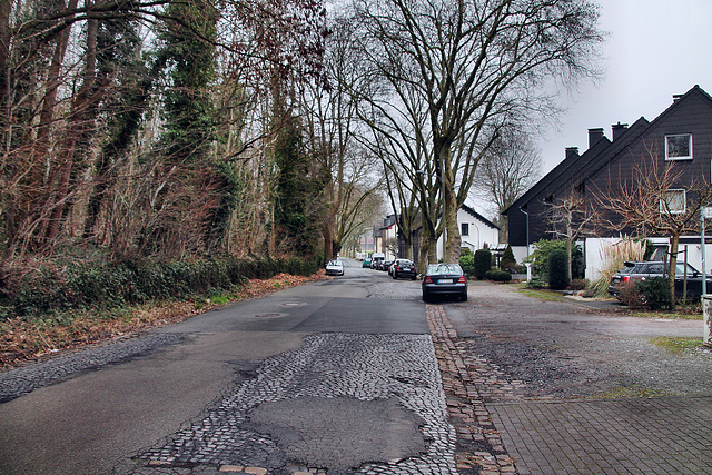 Somborner Straße (Bochum-Langendreer) / 11.02.2023