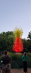 Chihuly glass sculpture Adelaide