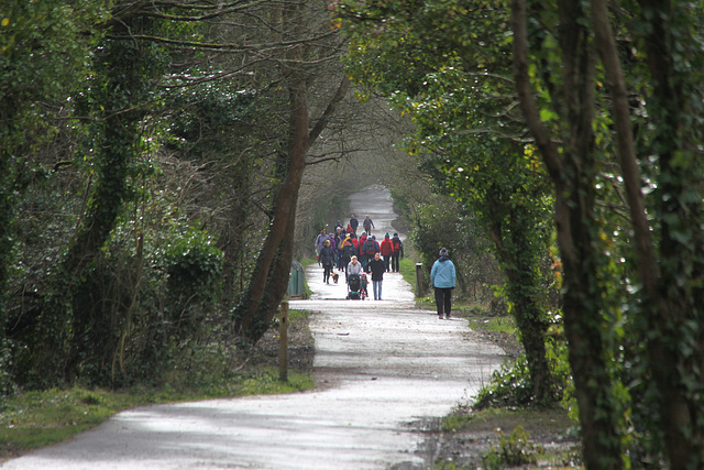 Cosmeston Country Park