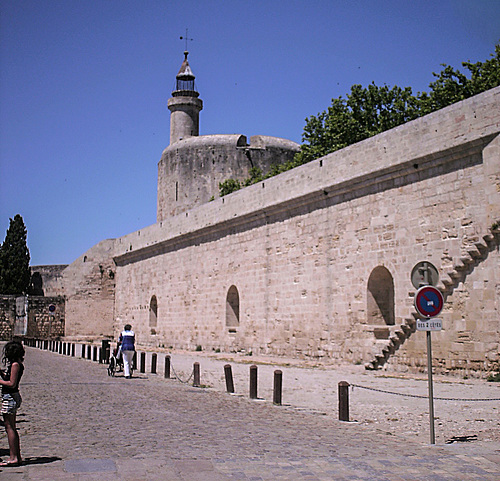 20150517 0093PSw [F] Aigues Mortes, Camargue