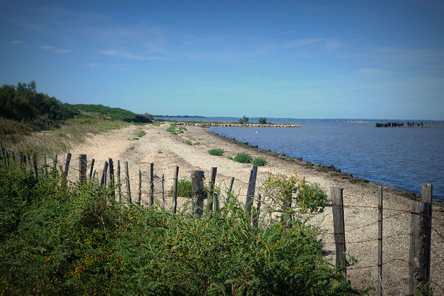 Etang des Vaccares