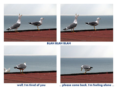 couple's problems ;-)