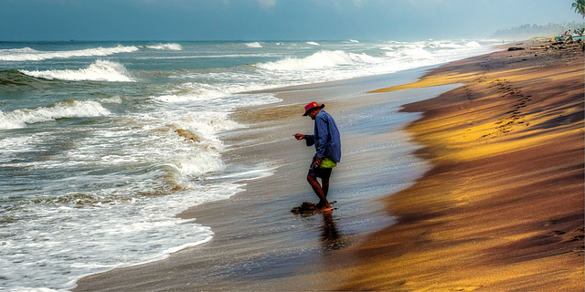 Mackerel fisherman, Wadduwa, Sri Lanka