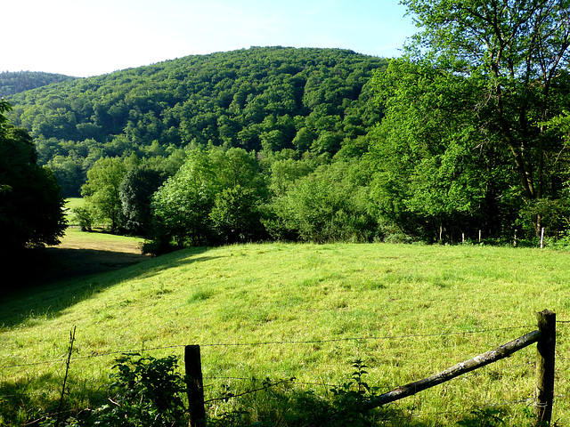 DE - Hürtgenwald - On the Kalltal trail