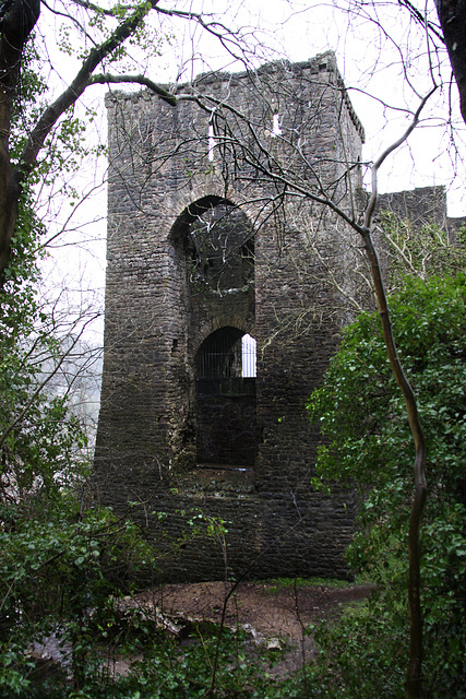 Chepstow Castle