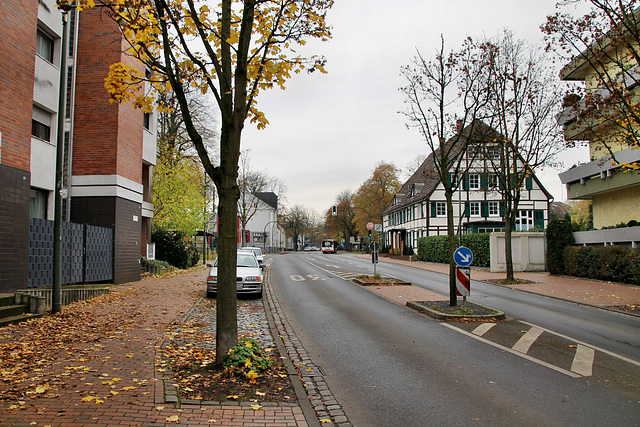 Hochstraße (Waltrop) / 17.11.2019