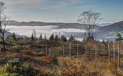 HFF ~ Mist on the Fells