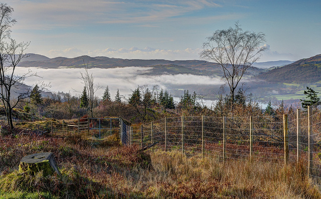 Mist on the Fells