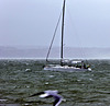 Sailing with power on a rough and windy Solent
