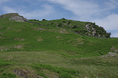 Lingmoor Fell path