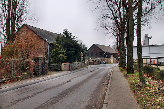 Somborner Straße (Dortmund-Somborn) / 11.02.2023