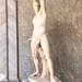 Vatican 2025 – The Boxer Creugas