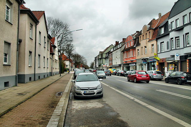 Polsumer Straße (Gelsenkirchen-Hassel) / 9.03.2019