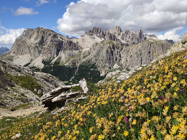 Il giardino del Lagazuoi