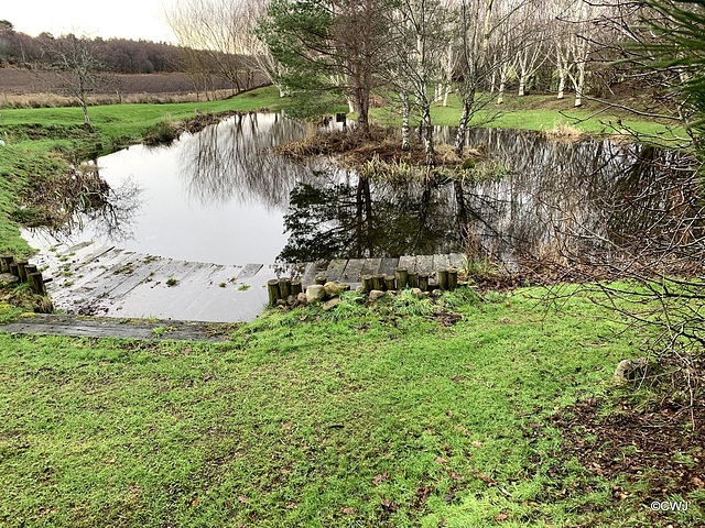 Winter pond full to overflowing the dock.