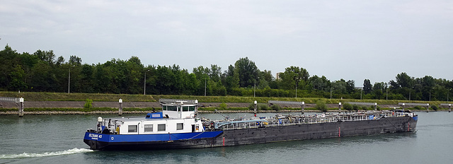 EILTANK 45 talwärts nach der Schleuse Gambsheim