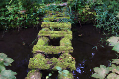 Image troublante d'un petit pont sécurisé , que j'ai vivement recommandé à belle-maman ...