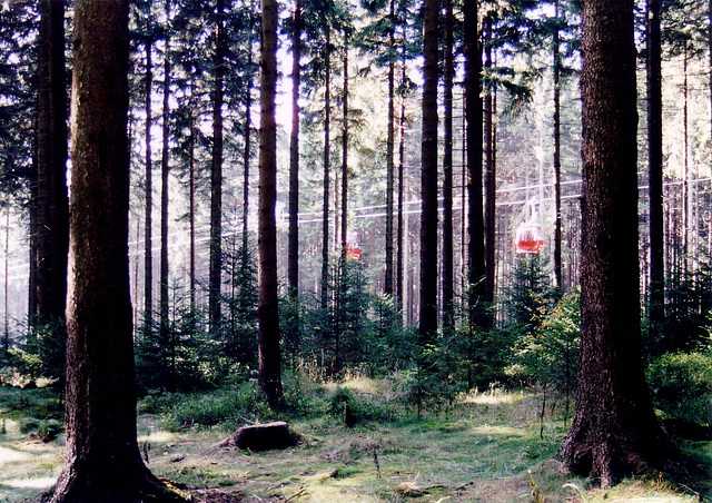 Seilbahn Braunlage     Wurmberg