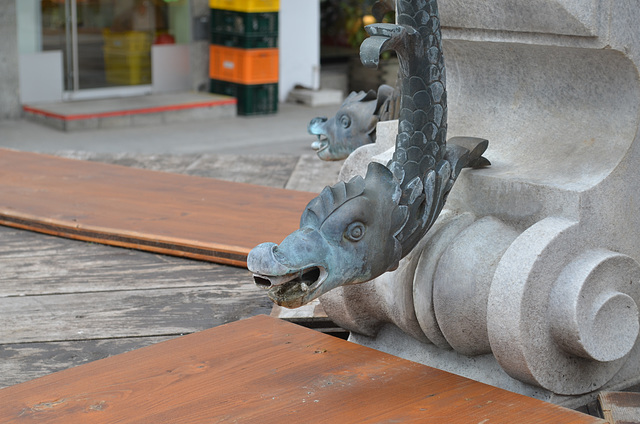 Bregenz, Dragon Head Drainpipe