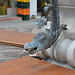 Bregenz, Dragon Head Drainpipe