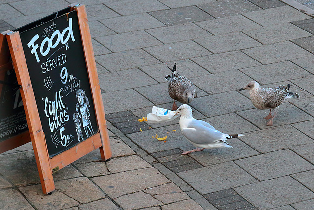 Chips for tea