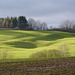 Licht und Schatten im Karst