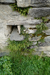 le trou dans le mur, pyrénées