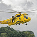 Westland Sea King 1