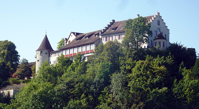 Südliches Ufer mit Schloss Laufen am Rheinfall