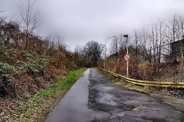 Oesterheidestraße (Bochum-Langendreer) / 11.02.2023