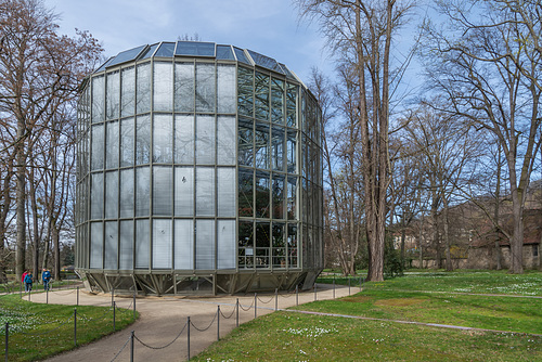 Kamelienhaus, Pillnitz