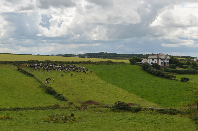 Giant's Causeway, Irish Rural Landscape