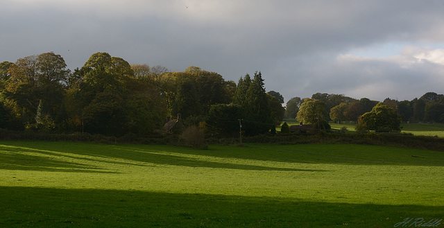 The splendours of an British Park