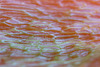 DSCF6979