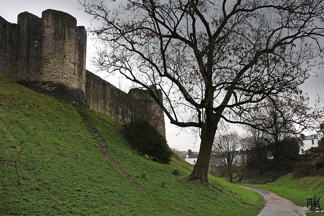 Chepstow Castle