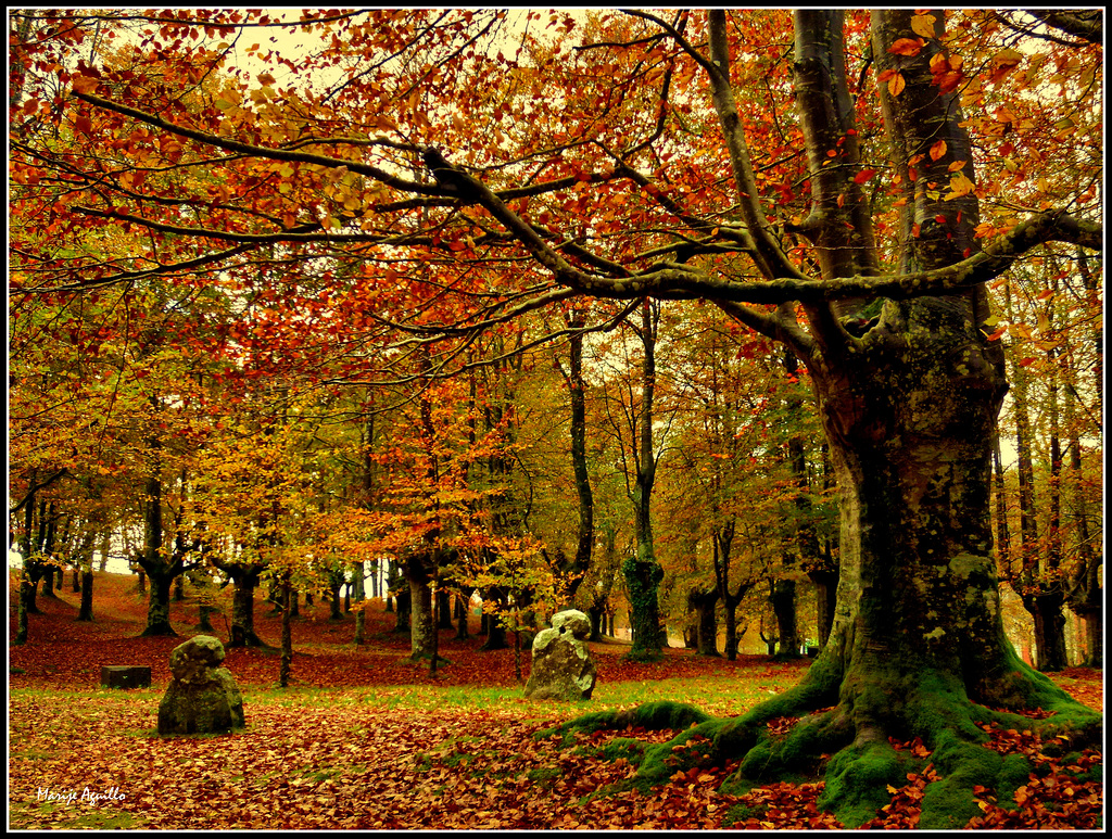 Otoño apasionado