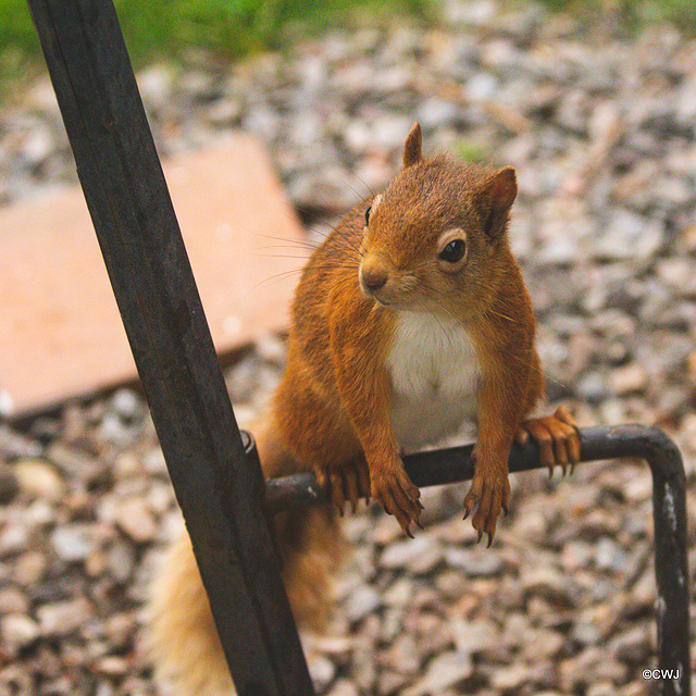 One of the youngsters checking the place out