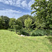 Pond Garden July 2025