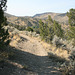 IMG 0839