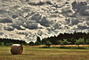 Die Heumahd ist zum Glück beendet - Fortunately haymaking is finished