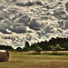 Die Heumahd ist zum Glück beendet - Fortunately haymaking is finished