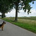 Pim on a dead end road in Munnikenland