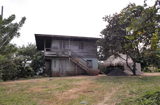 Bois sur ciment / Wood on cement