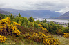 Loch Broom