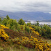 Loch Broom