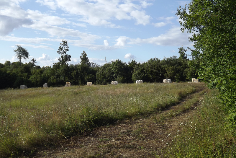 vdf 194 bee's bunker (01), Bunkers pour Abeilles