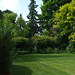 Fulbourn garden 2012-05-30 014