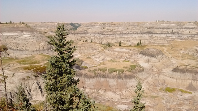 Petit canyon albertain/ Horseshoe canyon