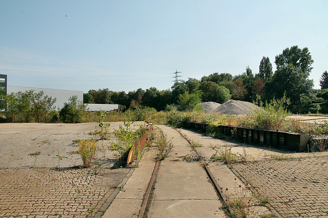 Gleise auf dem ehem. Schrottplatz (Mülheim an der Ruhr) / 19.08.2018